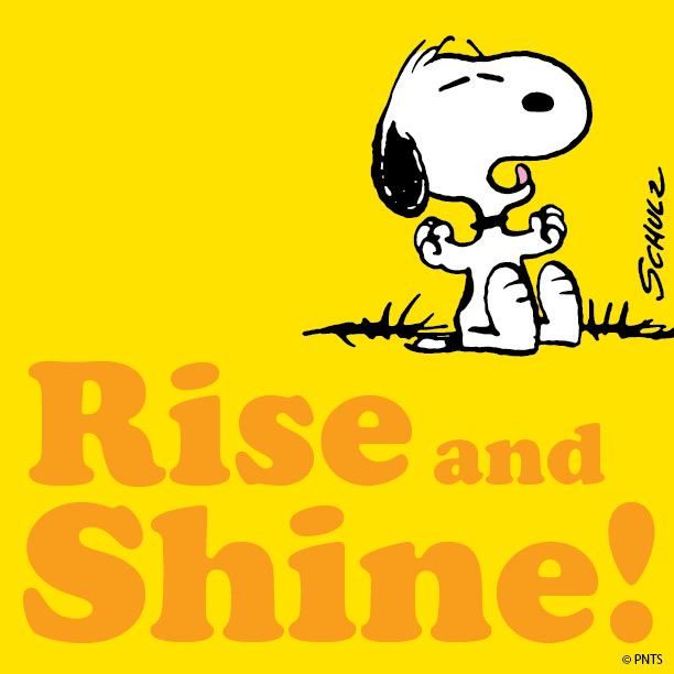 PEANUTS on Twitter  Good morning snoopy Snoopy pictures Snoopy quotes