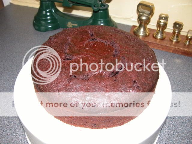 http://i27.photobucket.com/albums/c186/DavidKnapper/DSCN0409.jpg