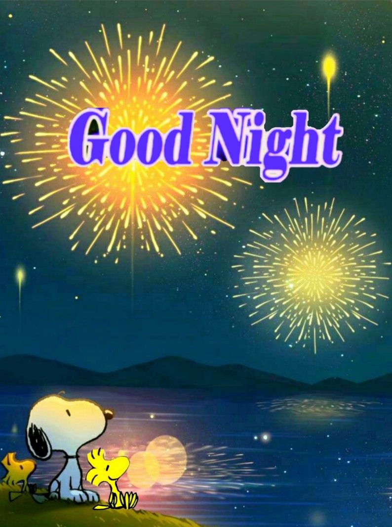 good-night  Citazioni snoopy Auguri di buona notte Immagini  divertenti