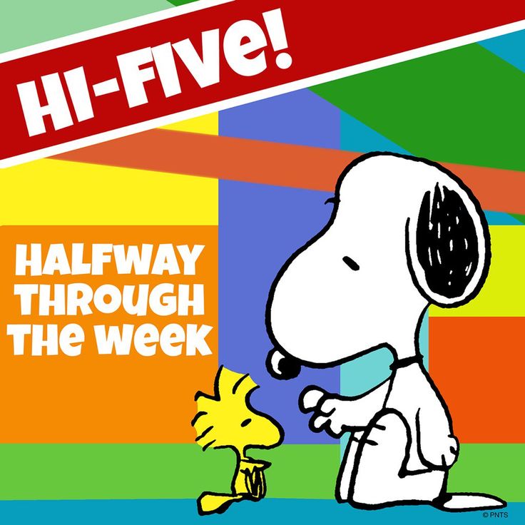 PEANUTS on Twitter  Snoopy Snoopy love Snoopy quotes