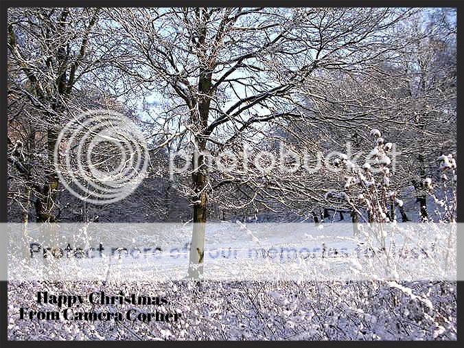 http://i27.photobucket.com/albums/c186/DavidKnapper/Winter%20Wonderland/491151e3-241b-4f05-997f-78773686875d_zps86c83a69.jpg