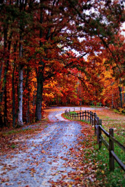 AUTUMN INSPIRED  Fall pictures Scenery Nature