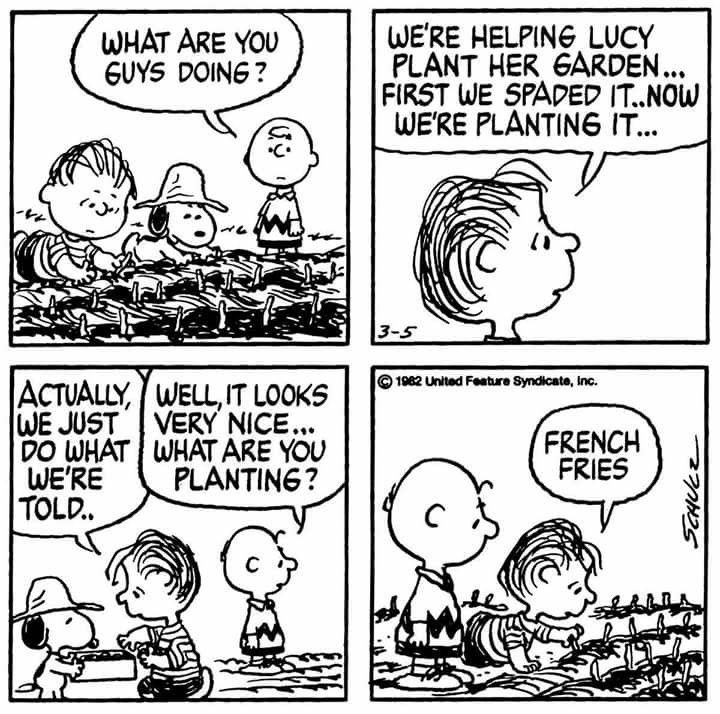 thepntsgang pnts schulz snoopy charliebrown linus lucy plant garden  frenchfries  Fotografie