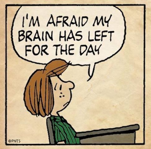 guffcom  Snoopy quotes Funny quotes Charlie brown