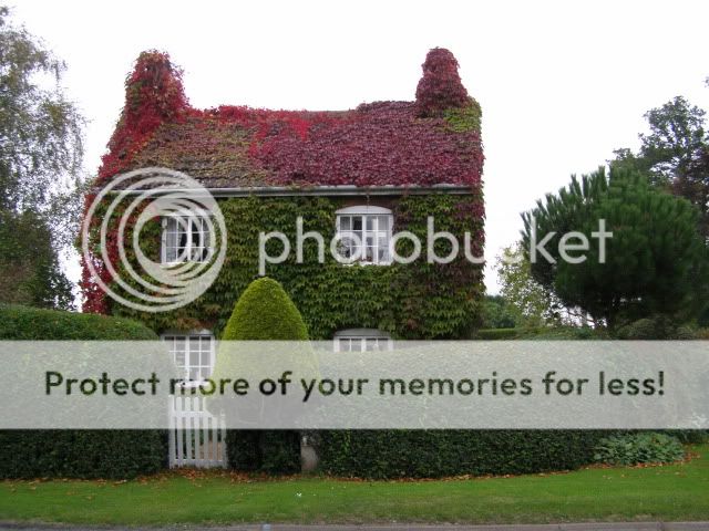 http://i27.photobucket.com/albums/c186/DavidKnapper/PA030001.jpg