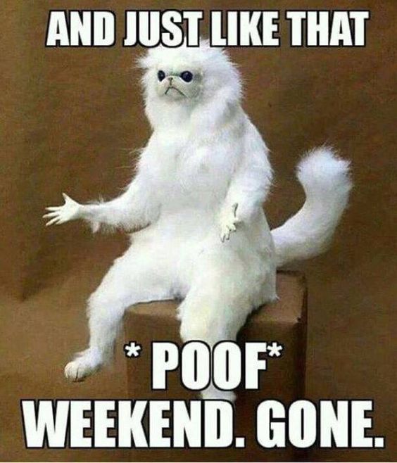 Image result for The end of the weekend images
