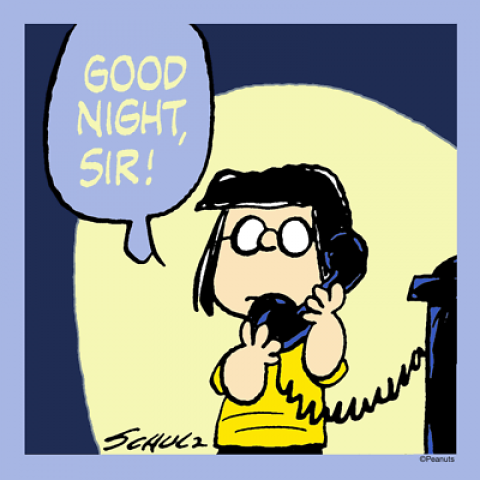 Good Night Sir Baseball Jersey  Peanuts gang Snoopy love Charlie brown  and snoopy