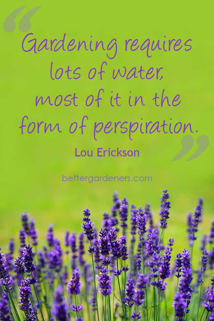Funny Gardening Quotes amp Humor - Better Gardener39s Guide