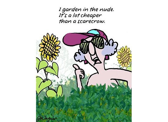 Shutterfly  Gardening quotes funny Funny cartoons Funny quotes
