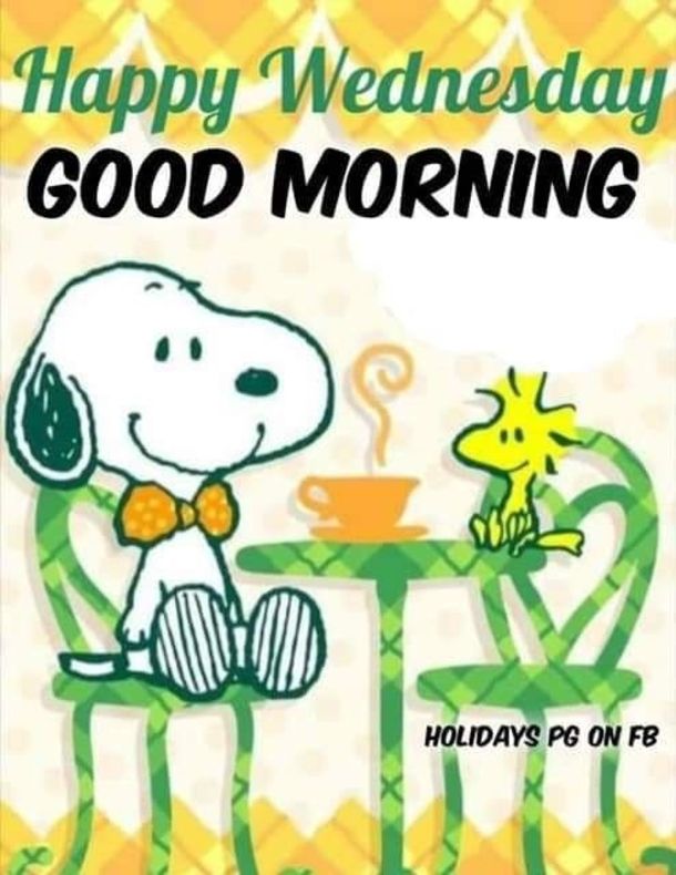 10 Wednesday Snoopy Quotes amp Pictures  Snoopy quotes Good morning snoopy Happy  wednesday quotes