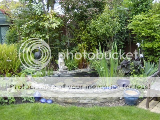http://i1131.photobucket.com/albums/m551/lilylouise1/gardenviews029.jpg