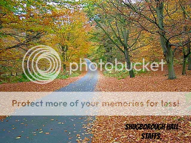 http://i27.photobucket.com/albums/c186/DavidKnapper/Autumn%20Tints/c5dcb58f-85df-4033-96fa-425ae86853e4_zps29cuofzy.jpg