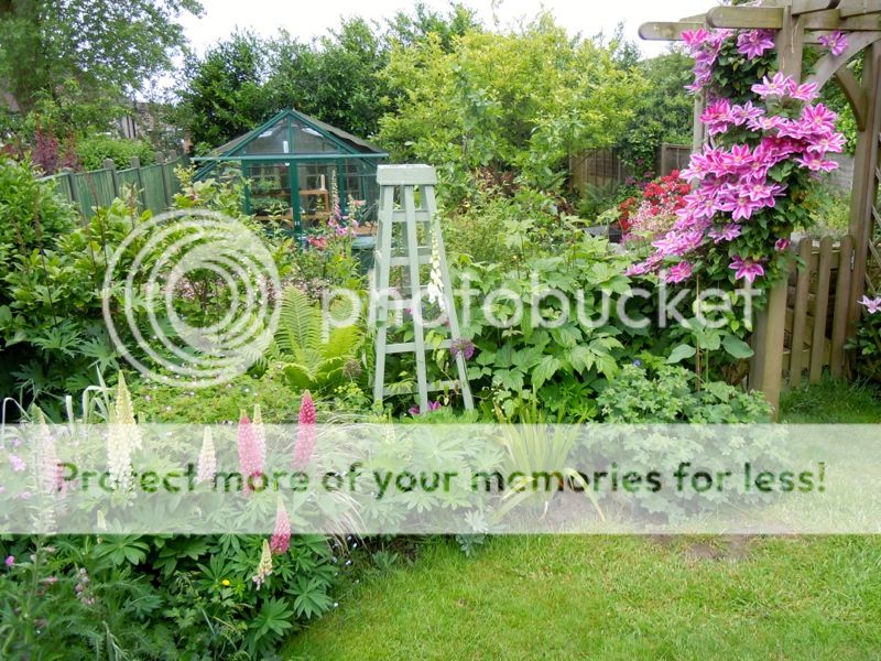 http://i232.photobucket.com/albums/ee192/thebear843/Garden/file_zps37424126.jpg