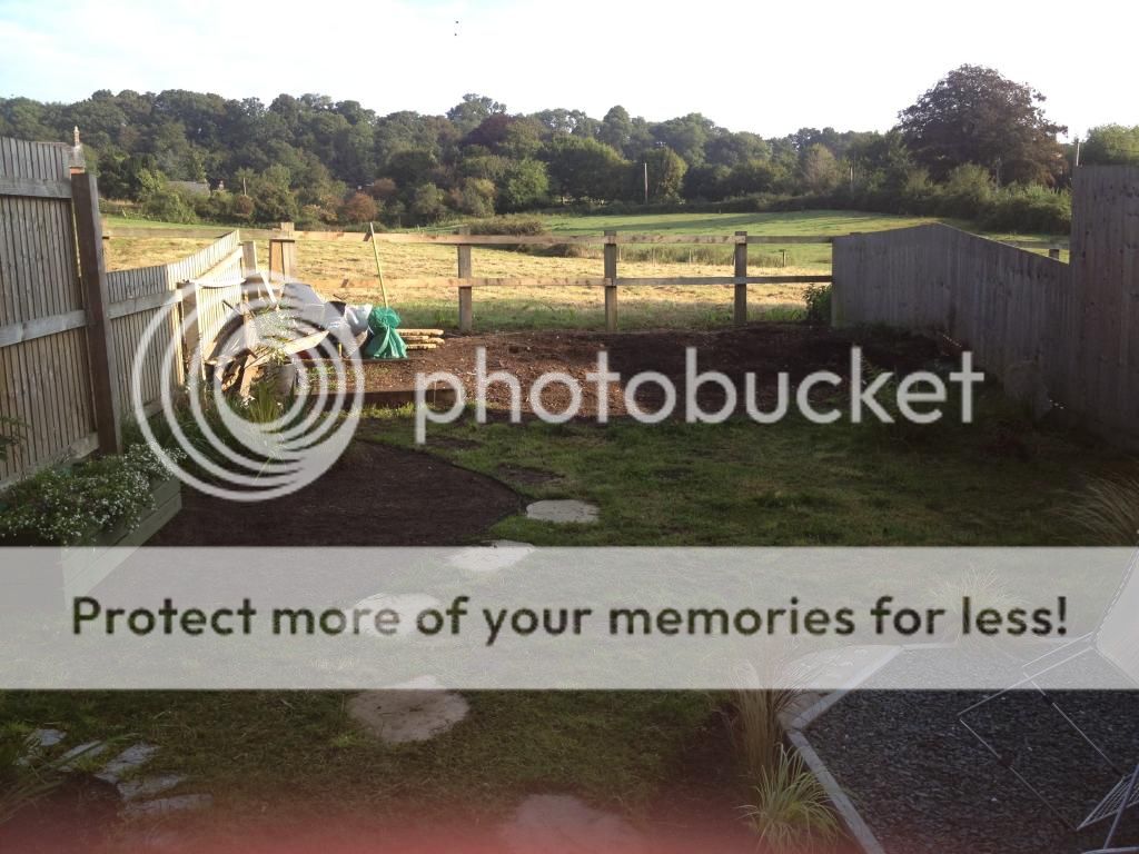 http://i13.photobucket.com/albums/a288/dan_almond/IMG_2502.jpg