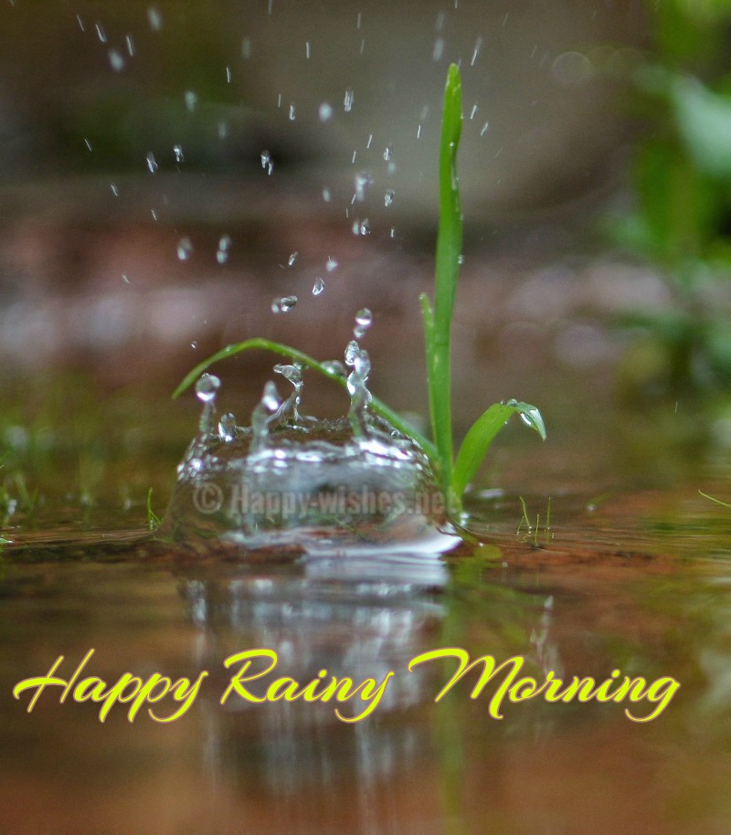 Image result for Happy rainy Monday images
