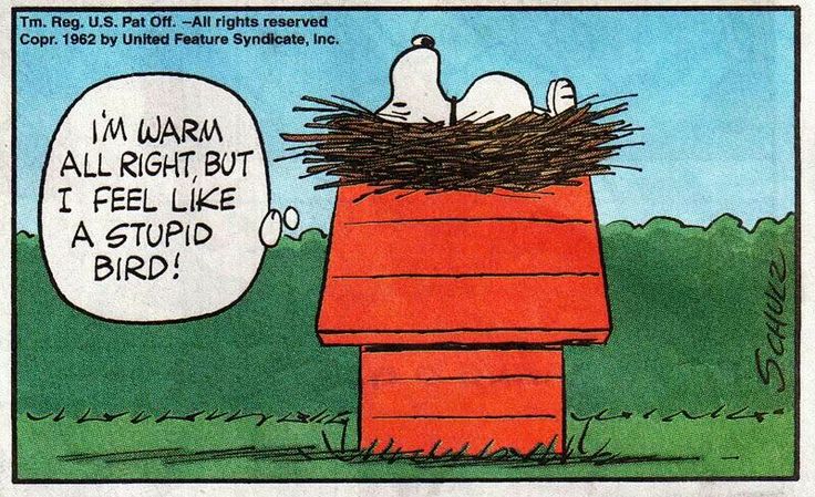 Snoopy keeping warm  Snoopy pictures Snoopy love Charlie