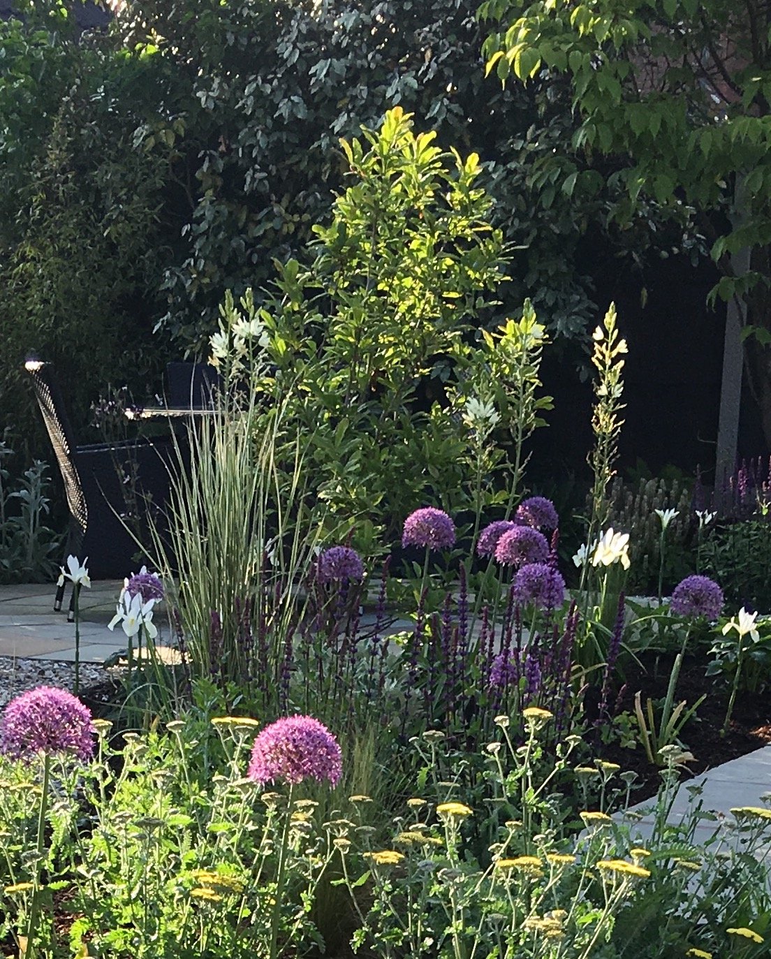 Garden Elfin