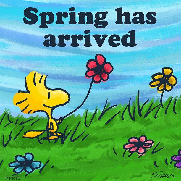 PEANUTS on Twitter  Snoopy quotes Snoopy Snoopy pictures