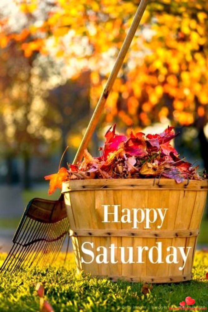 Happy Saturday my friends Download for free nice beautiful pictures  images and quotes for your good morning on Saturday  Autumn leaves  Seasons Beautiful fall