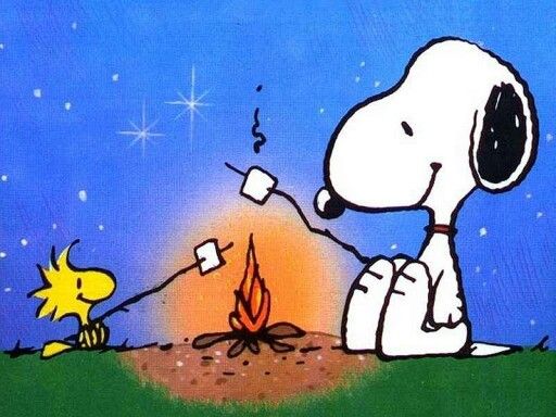 Bonfire  Charlie brown y snoopy Woodstock snoopy Imgenes de snoopy