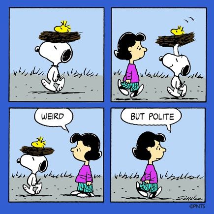 Weird but polite - Snoopy  Snoopy cartoon Snoopy comics Snoopy funny