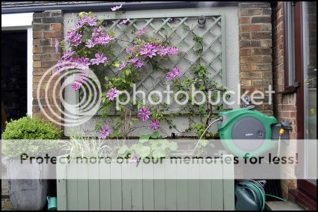 http://i232.photobucket.com/albums/ee192/thebear843/Garden/Garden5.jpg