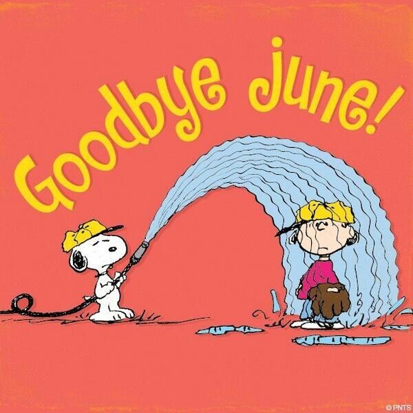 Goodbye June  Snoopy Charlie brown and snoopy Snoopy images