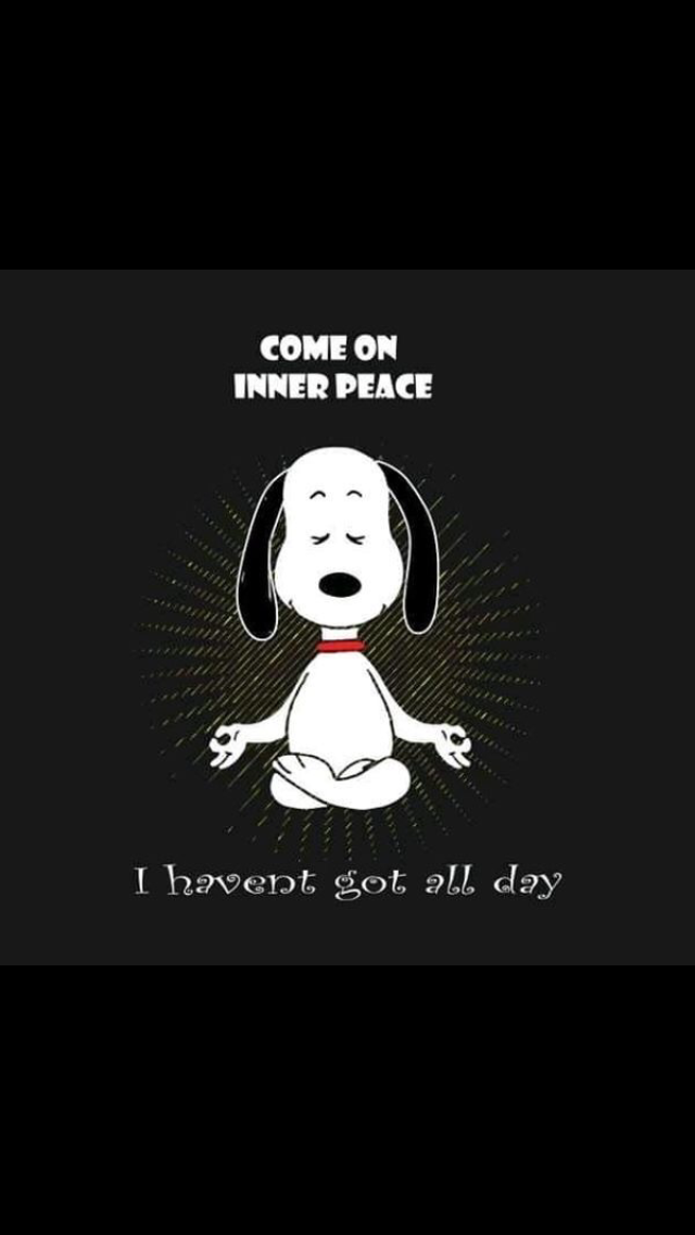 Pin by Jean Frederic on Snoopy  Snoopy Character Fictional characters