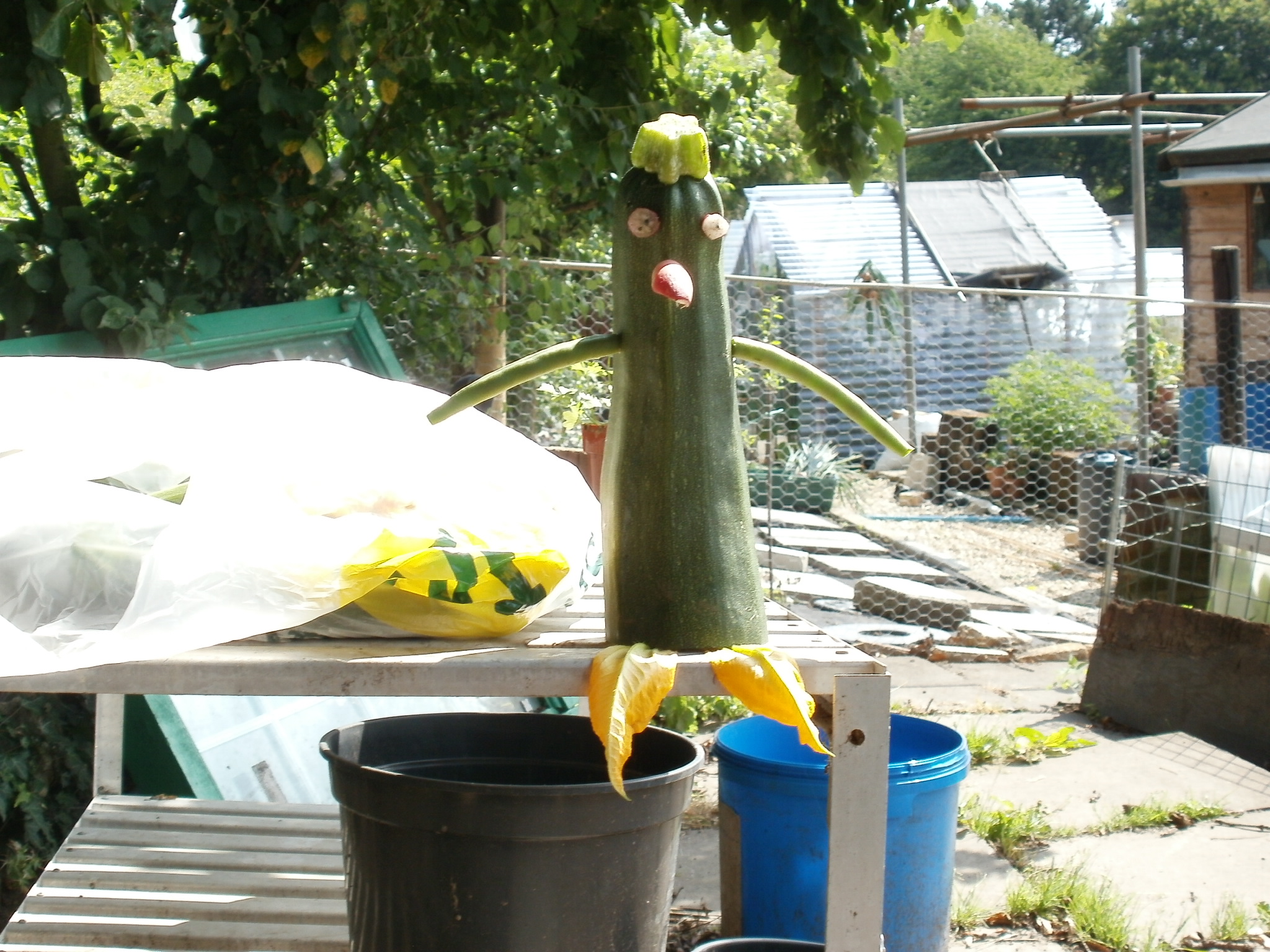 man in a shed