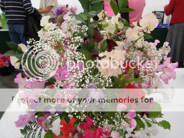 http://i27.photobucket.com/albums/c186/DavidKnapper/Wem/P7180018.jpg