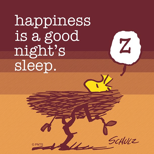 PEANUTS on Twitter quotHappiness is getting a good night39s rest  quot