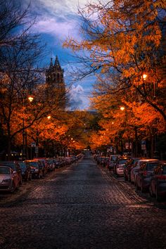 100 Best Autumn Evening images in 2020  autumn scenery autumn night