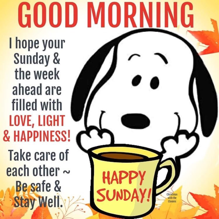 JOHN BODEN on X Happy Sunday Morning VivaMKChristmas