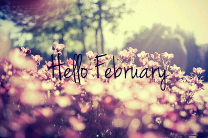 49  Hello February  ideas  months in a year february welcome february