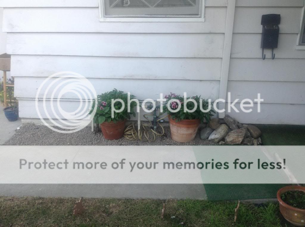 http://i688.photobucket.com/albums/vv241/jestein/photo7_zpsad1d4370.jpg