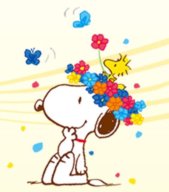 Peanuts  Snoopy wallpaper Snoopy pictures Snoopy love