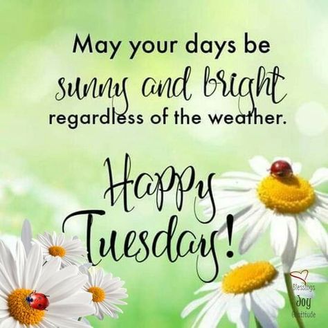 110 Tuesday ideas  good morning tuesday tuesday greetings tuesday