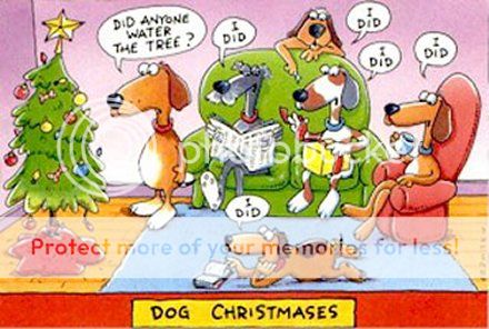 http://i1143.photobucket.com/albums/n627/thedogcody/Dog_Christmas_cartoon.jpg