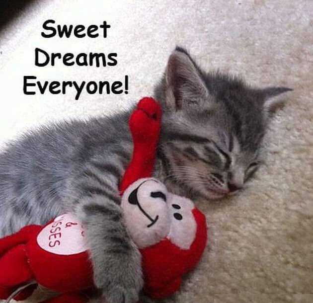 Sweet Dreams Everyone uk british