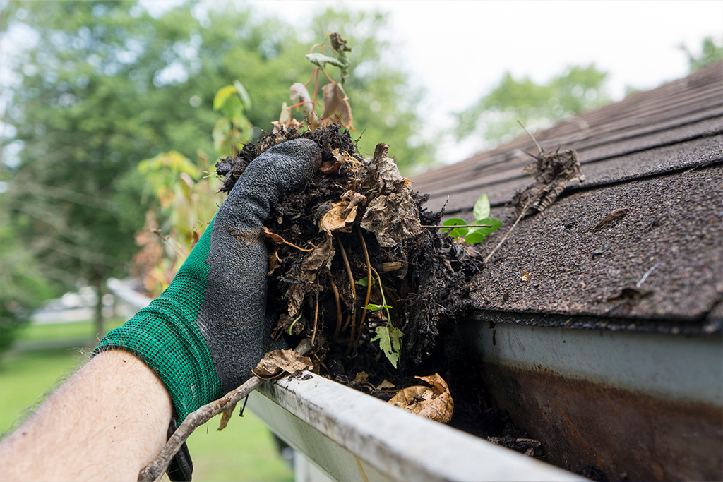 Spring clean your garden