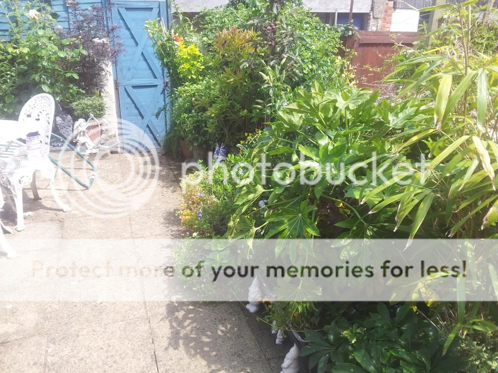 http://i1300.photobucket.com/albums/ag97/Bev_Pounsett-Krynauw/15b22-07-13_zps60cb6f14.jpg