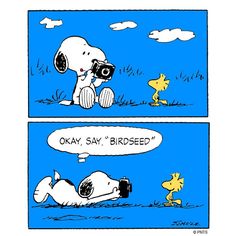 150 Friendship ideas  charlie brown and snoopy snoopy love peanuts gang