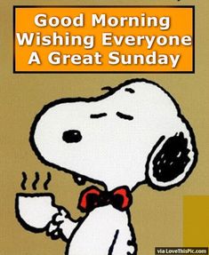 25 Sunday ideas  snoopy love snoopy quotes charlie brown and snoopy