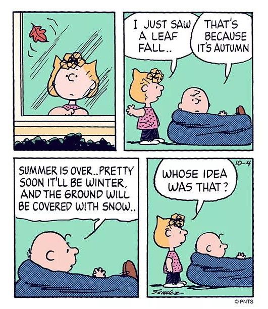 Charlie Brown tells Sally about the seasons of autumn and winter  Snoopy  comics Charlie brown comics Charlie brown and snoopy