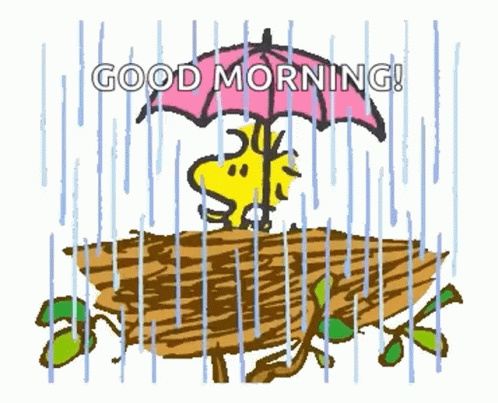 Snoopy Woodstock GIF - Snoopy Woodstock Rain - Discover  Share GIFs