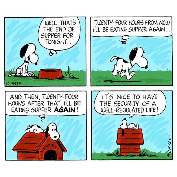 PEANUTS on  Snoopy Peanut pictures Peanuts gang
