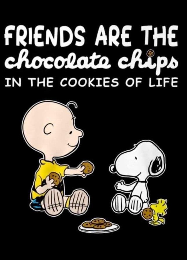 Pin on Snoopy quotes