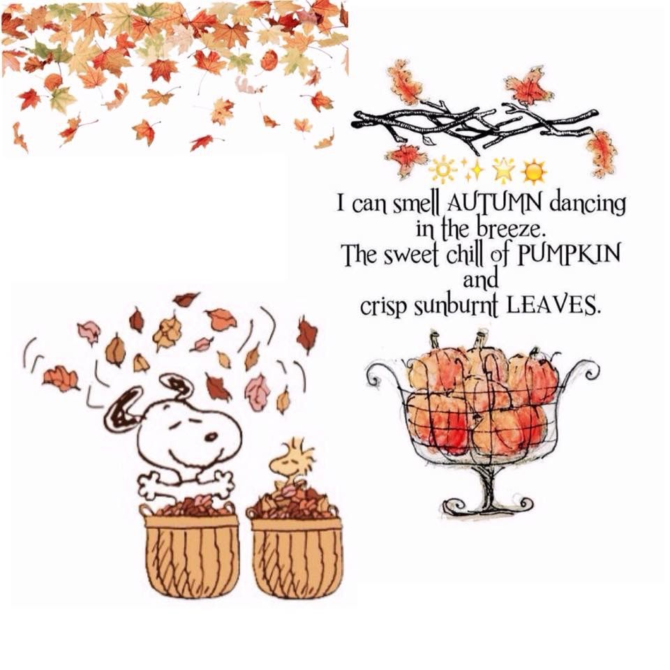 Happy Autumn  Snoopy and woodstock Thanksgiving cartoon Charlie brown  and snoopy