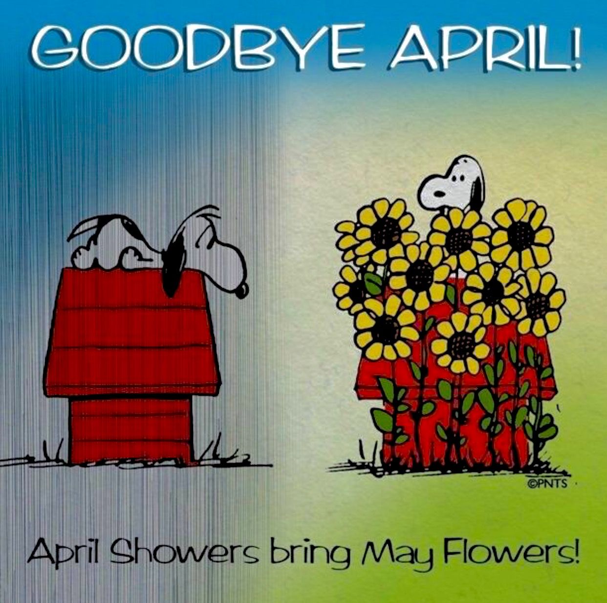 Good Bye April April Showers Brings May Flowers  Snoopy  Snoopy Snoopy  pictures Snoopy love