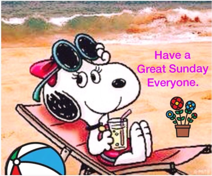 900 Phyllis ideas  snoopy love charlie brown and snoopy snoopy and  woodstock